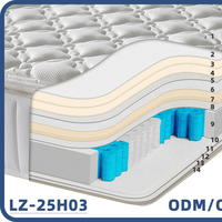 Matelas orthopédique respirant COSTFULL hybride Queen King Size, ressorts ensachés de qualité hôtelière 5 étoiles, mousse, enroulable, compressé sous vide dans une boîte
