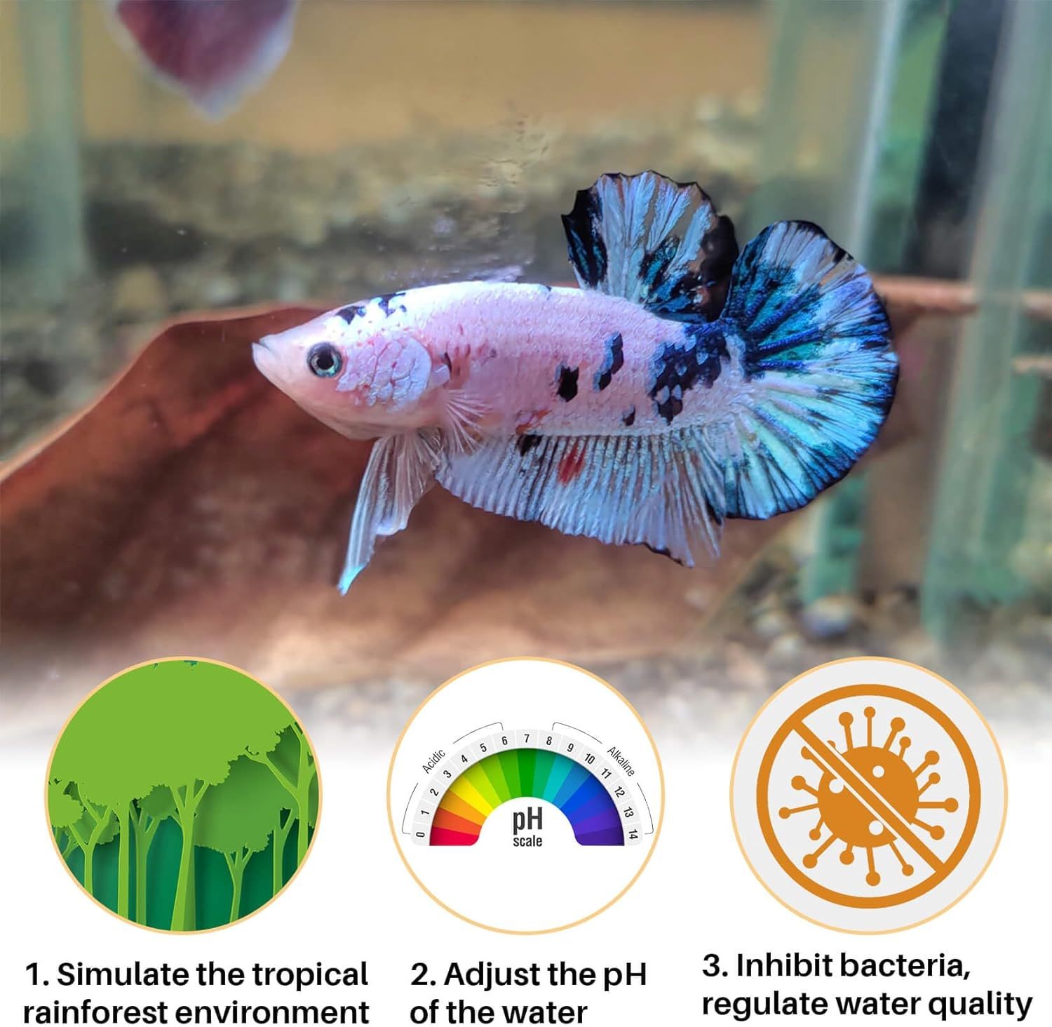 5-7 Best Indian Catappa Almond Leaves A+ Tannins for Bettas, Discus, Aquarium