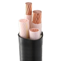 Câble d'alimentation YUWAN YJV2*1.5 450V basse tension en cuivre pur avec gaine PVC, ignifuge classe C 90°C 16A