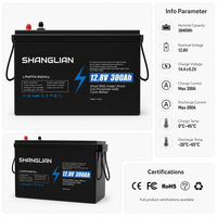 Batterie LiFePO4 12V 300Ah, pack de batteries 12.8V 3840Wh, 6000 cycles, batterie lithium à décharge profonde pour applications marines, camping-cars, moteurs de pêche à la traîne, et alimentation de secours solaire