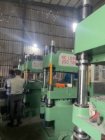 Machine de moulage par compression de mélamine de 250 tonnes approuvée CE, presse hydraulique automatique pour la fabrication de vaisselle, utilisation directe en usine, sûre