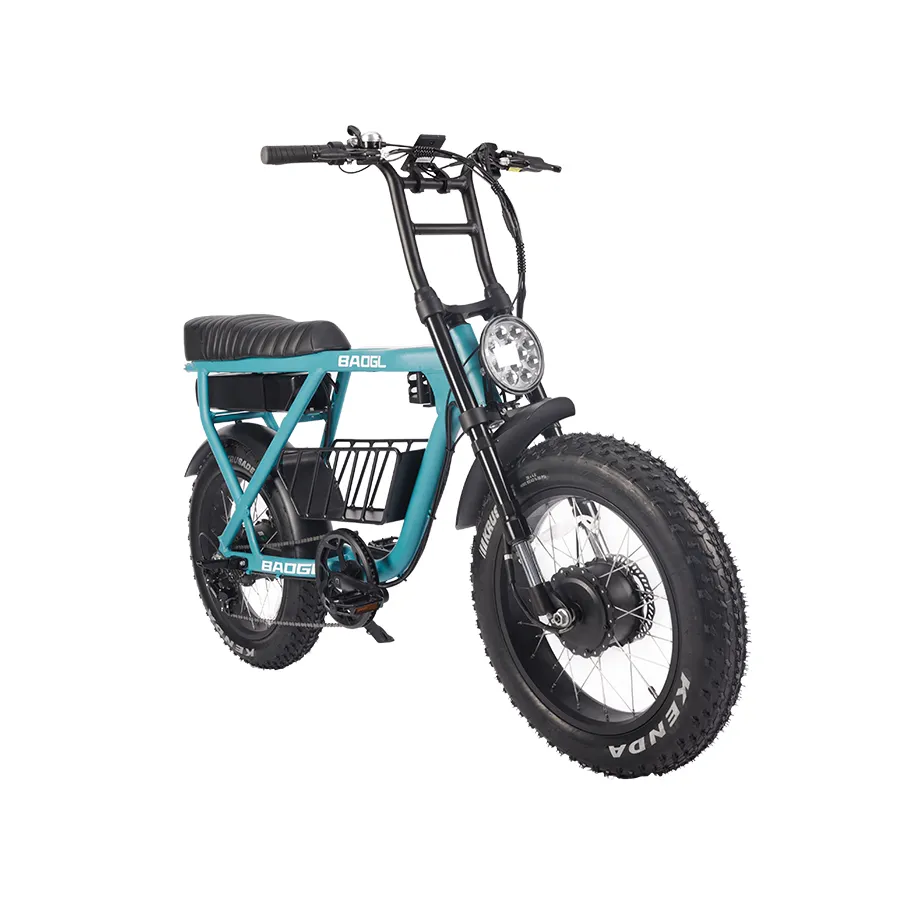 Lốp Xe Đạp Chất Béo Pin 48V Khung Xe Đạp Điện Động Cơ Kép Siêu Ervebo Xe Đạp Chở Hàng Snow City Cruiser 73