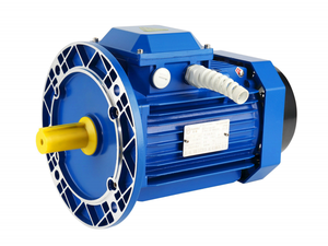 고품질 0.55kw 0.75kw 모터 삼상 비동기 모터 OEM 맞춤 저가 중국산 정속 IE 2 50/60hz - Product Image 6