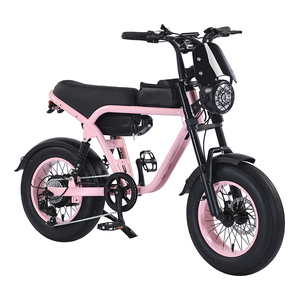 Vélo électrique chinois personnalisé en usine à prix abordable, OEM ODM, 20 pouces, vélo électrique à pneus larges, 1000W, Super Ebike 73 - Product Image 1