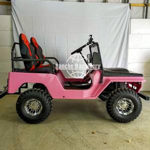 Nuevo Diseño, Jeep de Alta Calidad de 2/4 Plazas, 350cc/400cc, Mini Jeep de Gasolina, 351-450HP, 2 Años de Garantía, Precio Bajo, Venta al Por Mayor - Product Image 2