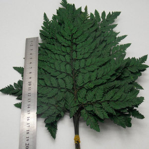 Décoration de table, feuilles de fougère séchées et préservées, arrangement de feuilles artificielles, 30-40 cm, utilisation intérieure/extérieure pour mariage - Product Image 1