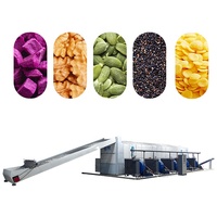 Ondersteuning voor maatwerk: machine voor het drogen van champignons, noedelsdroger met gaasband, machine voor het drogen van kardemom/tomaat/rode dadels, fruitdroogmachine