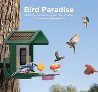 Promotion : Mangeoire à oiseaux solaire avec caméra HD couleur et surveillance WiFi à distance pour jardin et oiseaux sauvages