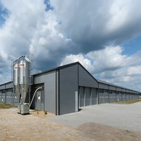 Poulailler économique moderne en structure acier, hangar préfabriqué pour bétail, élevage avicole à grande échelle, haute résistance, galvanisé à chaud