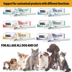 Bobbi Pure Custom <span class=keywords><strong>Best</strong></span> Pet Health Care Suplemento de golosinas para articulaciones y caderas Pasta de Gel Oral de calcio para perros - Product Image 5