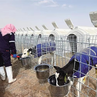 Nichoir/abri pour veaux de haute qualité en plastique PE et acier inoxydable pour élevages de moutons/vaches, fermes avicoles, vente industrielle