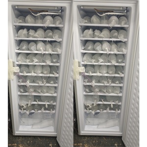 Máquina de Hielo Solar Comercial BD198 de 24V, 10 Capas, Batería de Gel, 70kg/24 Horas, para África, BD-198, 7 Capas, Comercial - Product Image 1