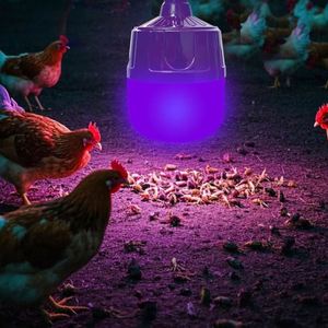 Modern Purple Light Solar Planting Bulb Rechargeable Insect Trap for Fish Ponds Garden Outdoor Lighting PC Lamp Body Material - Product Image 2
