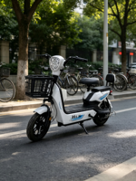 Vélo Électrique Urbain de Haute Qualité en Gros, 14 pouces, 350W, 48V, Cadre en Acier à Haute Teneur en Carbone, Autonomie 55-65km, Moto Électrique pour Adultes