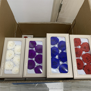 QSLH-A310 B Grade Meilleure Qualité Chine Réel Naturel Éternel Pour Toujours Immortel Tête De Fleur Roses Préservées - Product Image 2