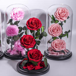 Hoa hồng thật được bảo quản lâu dài trong chuông thủy tinh có đèn LED, hộp quà tặng hoa bất tử, quà tặng Valentine, sinh nhật, cưới hỏi - Product Image 1