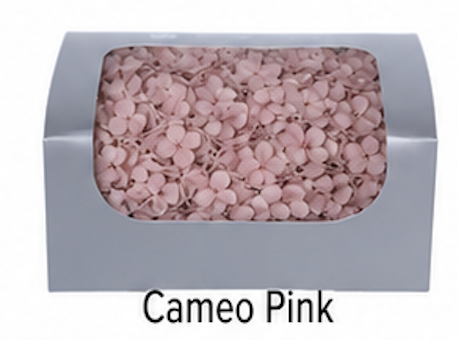 Cameo Pink