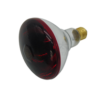 Nouvelle lampe chauffante infrarouge rouge Shangqingtai 220V, verre anti-explosion, équipement d'élevage avicole pour usage agricole