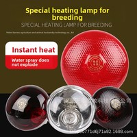 Lampe chauffante et ampoule chauffante pour veaux, moutons, porcelets, poussins et usage agricole