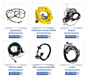 Sejow OEM ODM Hoge Kwaliteit Op Maat Gemaakte Elektrische Motorfiets Complete E-bike Hoofdbedrading - Product Image 4
