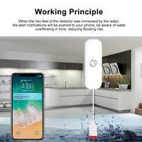 YIERYI capteur de fuite d'eau Wifi détecteurs fuite Tuya alarme de vie intelligente dispositifs de détection de fuite d'eau intelligents pour Alexa Google Home
