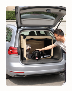 Jaula Plegable para Perros y Gatos, de Tela Oxford, Rectangular, con Laterales de Malla, para Perros Pequeños - Product Image 2
