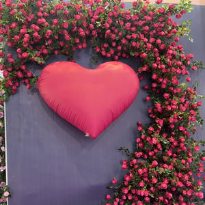 特別オファー5.7FTフェイクテーブル花柄ガーランドローズピンク天井吊りシルク人工ローズフラワーバイン - Product Image 4