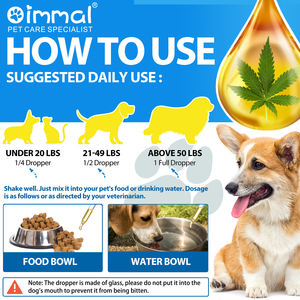 Oimmal Etiqueta Privada 60ml Soporte Inmune Aceite de Cáñamo Orgánico Premium Venta Al por Mayor Productos para Mascotas Aceite de Cáñamo para Perros Gatos Hecho en China - Product Image 2