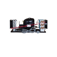 Unité de réfrigération monobloc refroidie par air, mini unité de condensation pour réfrigérateur et congélateur Micro unité de réfrigération 12V 24v R134a