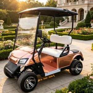 Voiturette de golf électrique économique 2 places avec kit complet de toit et pare-brise certifié CE pour applications en milieu communautaire, manoirs et clubs de golf - Product Image 1