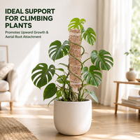 Tongkat Lumut Serat Kelapa Penyangga Tanaman Merambat untuk Monstera, Philodendron & Tanaman Merambat Lainnya