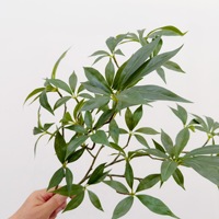 Künstliche Kapok-Blätter, Flache Zweige, Chinesischer Blumenarrangement-Stil, Hotel-Modellraum-Dekoration, Grünpflanzen Großhandel