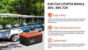 Batería para Carro de Golf de 48V 100Ah de Ciclo Profundo Recargable con Voltaje y Capacidad Personalizados - Product Image 6