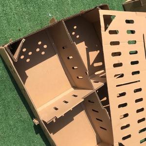 Caja de Envío para Aves Vivas (Palomas) de Cartón Corrugado, Diseño Personalizado, 100 Unidades, con Relieve y Materiales Reciclados - Product Image 6