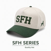 Casquette de baseball brodée bicolore à 5 panneaux en coton avec fermeture snapback, logo personnalisé, casquette décontractée pour le sport