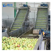 Usine de transformation industrielle d'agrumes au citron et à l'orange avec extracteur de jus Équipement de fermentation pour ligne de production de spiritueux