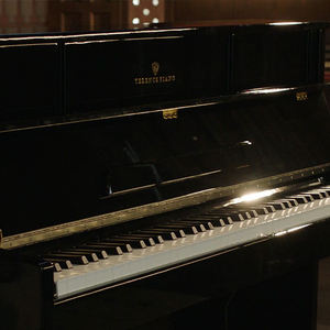 Terence S71 88 touches <span class=keywords><strong>famille</strong></span> <span class=keywords><strong>Piano</strong></span> droit acoustique Mode silencieux enfants adultes trousse à outils de pratique incluse - Product Image 3