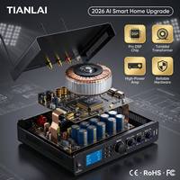 TIANLAI Profesyonel Karaoke Amfisi, Çift Kablosuz UHF Mikrofonlu, Bluetooth 5.0 DSP Ses Sistemli, Ev KTV Partileri için