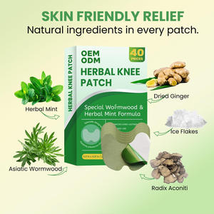 Tambalan lutut Herbal alami kualitas tinggi 2025 produk Tiongkok penghilang nyeri mulut hidung & Tubuh Wormwood punggung - Product Image 5