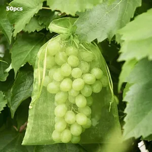 10*15cm 2023 Plant Protection Fruit Netting Mesh Grow Bags for Vegetable Strawberry Grapes Pest Control Anti-Bird Garden Tools