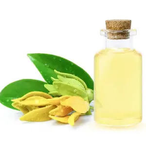 Fabricant professionnel fournitures OEM/ODM huile essentielle d'ylang ylang naturelle pour effet calmant et soins de santé