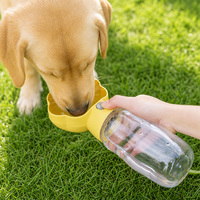 Bouteille d'eau portable pour chien avec motif de patte, 380 ml, distributeur d'eau pour chiot de voyage avec cordon