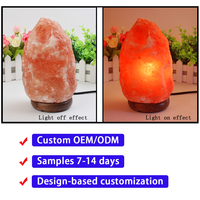 Lampe de Sel Rose de l'Himalaya à Forme Naturelle avec Base en Bois et Variateur d'Intensité, Veilleuse Décorative pour la Maison - Offre Spéciale