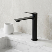 Robinet de lavabo moderne et élégant pour salle de bain, accessoires de quincaillerie, économie d'eau, eau chaude et froide