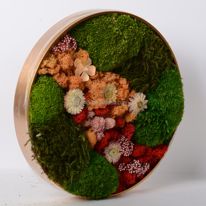 Cadre mural décoratif en mousse de renne naturelle véritable préservée, forme ronde, taille personnalisée <span class=keywords><strong>60</strong></span> cm, pour la décoration de la <span class=keywords><strong>maison</strong></span> - Product Image 6