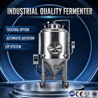 Tanque de Fermentación Industrial de Acero Inoxidable Estándar de Exportación, Fermentador Aislado con Agitador y Sistema de Control