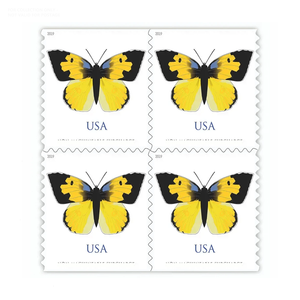 Étiquettes imperméables Forever Products, autocollants <span class=keywords><strong>de</strong></span> collection, timbres-poste originaux rares <span class=keywords><strong>de</strong></span> première classe 2019, étiquettes papillon à expédition rapide - Product Image 4