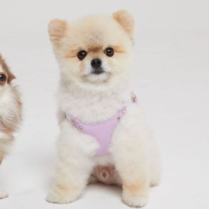 Arnés de Cuero Premium para Perros, Diseño de Moda, Acolchado, con Herrajes en Tono Dorado, Ajustable para Perros Pequeños y Medianos - Product Image 3