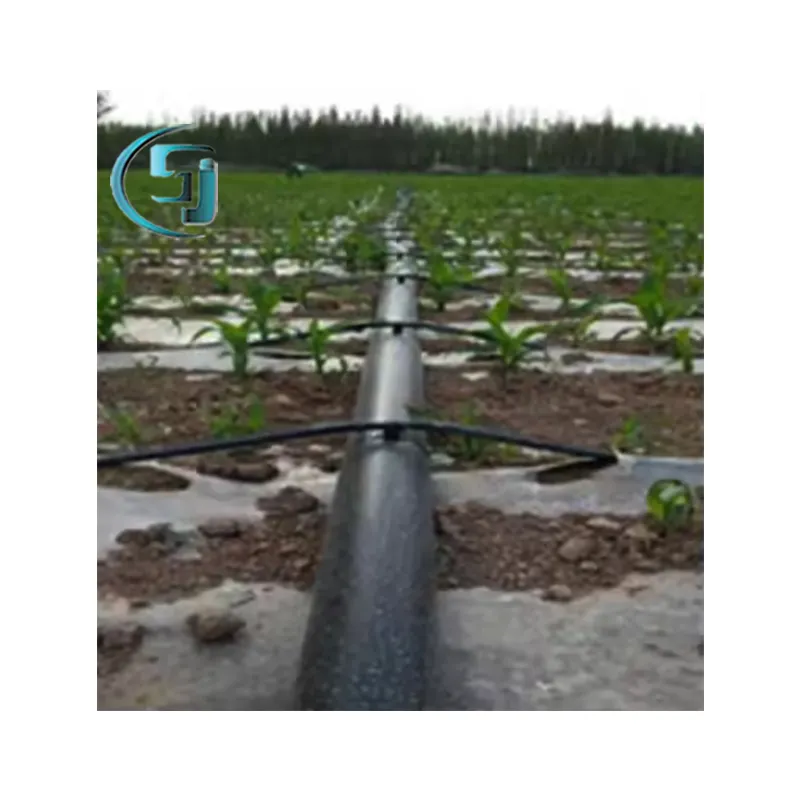 Venta caliente de alta calidad Granja Jardín Agricultura PE Servicio de agua Tubería Cintas de riego de goteo Sistema de riego agrícola Goteo