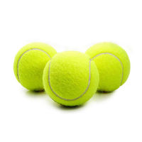 Balles de tennis d'entraînement pour jeunes Newchance Professional - Durables, haute élasticité, diamètre 63,5 mm, rebond 135-145 cm, junior